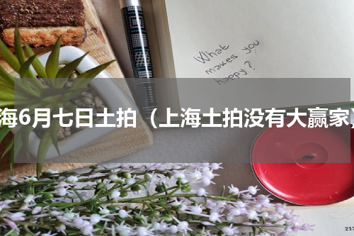 上海6月七日土拍（上海土拍没有大赢家）