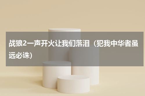 战狼2一声开火让我们落泪（犯我中华者虽远必诛）