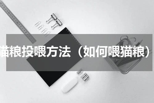 猫粮投喂方法（如何喂猫粮）