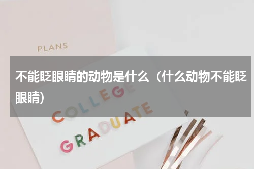 不能眨眼睛的动物是什么（什么动物不能眨眼睛）