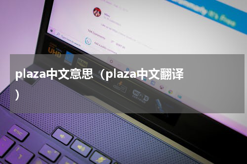 plaza中文意思（plaza中文翻译）
