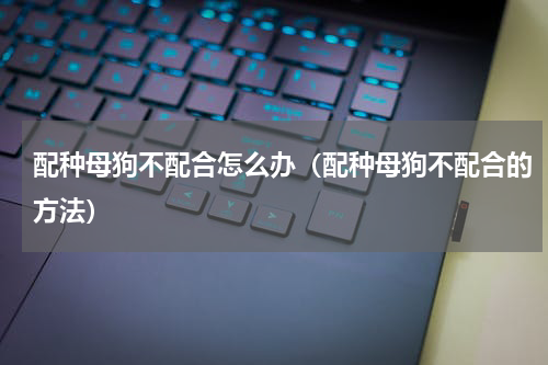 配种母狗不配合怎么办（配种母狗不配合的方法）