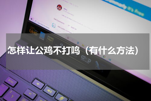 怎样让公鸡不打鸣（有什么方法）
