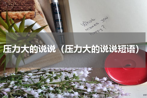 压力大的说说（压力大的说说短语）