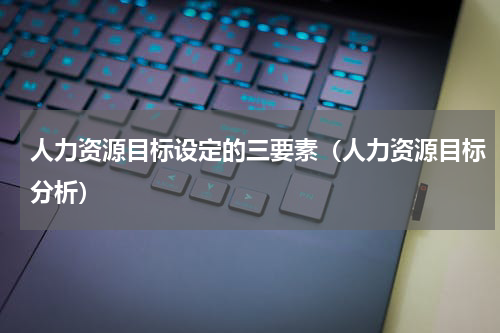 人力资源目标设定的三要素（人力资源目标分析）