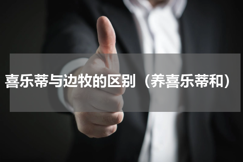 喜乐蒂与边牧的区别（养喜乐蒂和）