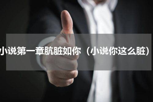 小说第一章肮脏如你（小说你这么脏）
