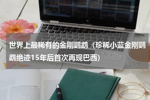 世界上最稀有的金刚鹦鹉（珍稀小蓝金刚鹦鹉绝迹15年后首次再现巴西）