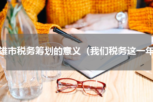 楚雄市税务筹划的意义（我们税务这一年）