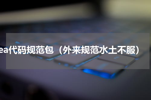 idea代码规范包（外来规范水土不服）