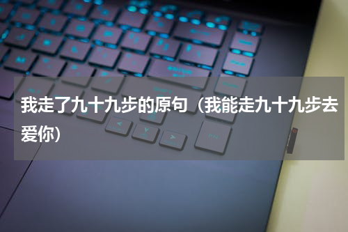 我走了九十九步的原句（我能走九十九步去爱你）