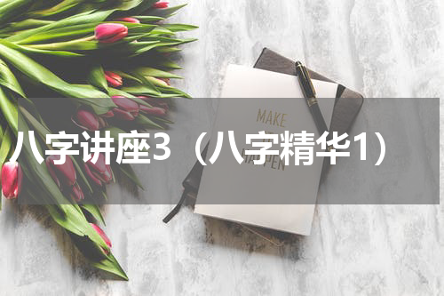 八字讲座3（八字精华1）