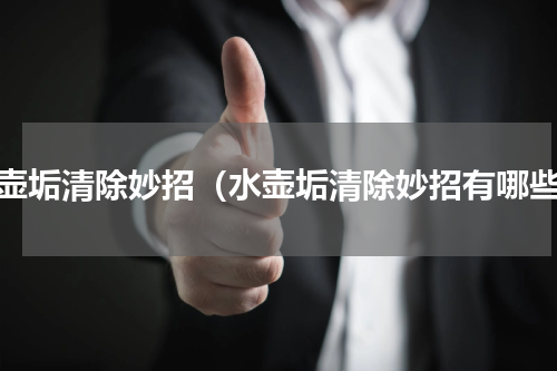 水壶垢清除妙招（水壶垢清除妙招有哪些）
