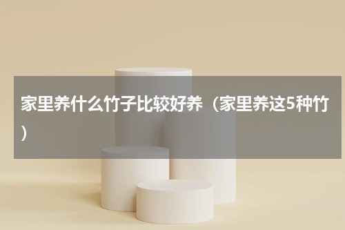 家里养什么竹子比较好养（家里养这5种竹）