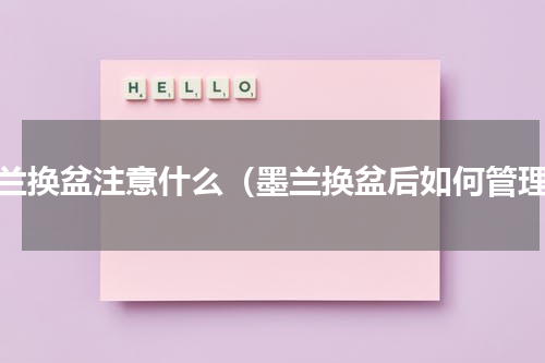 墨兰换盆注意什么（墨兰换盆后如何管理）
