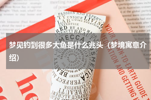 梦见钓到很多大鱼是什么兆头（梦境寓意介绍）