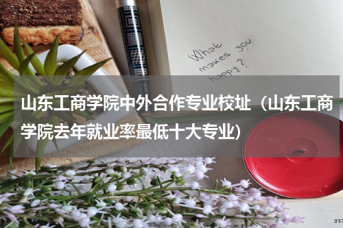 山东工商学院中外合作专业校址（山东工商学院去年就业率最低十大专业）