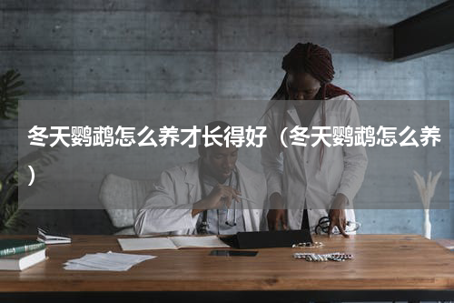 冬天鹦鹉怎么养才长得好（冬天鹦鹉怎么养）