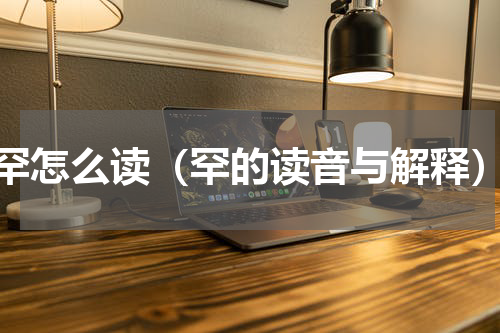 罕怎么读（罕的读音与解释）