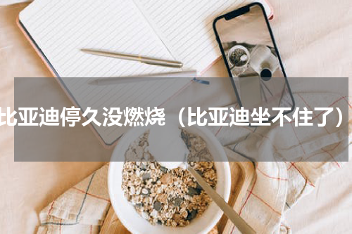 比亚迪停久没燃烧（比亚迪坐不住了）