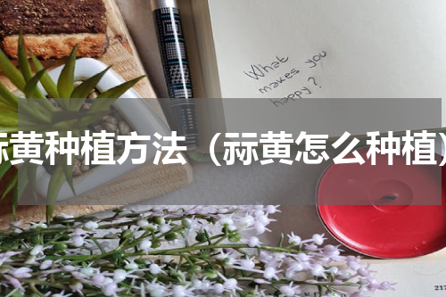 祘黄种植方法（祘黄怎么种植）