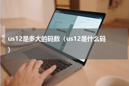 us12是多大的码数（us12是什么码）