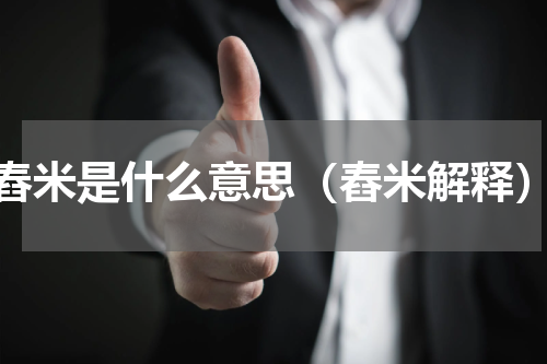舂米是什么意思（舂米解释）