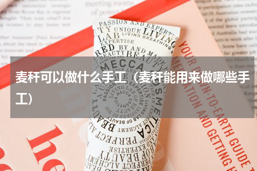 麦秆可以做什么手工（麦秆能用来做哪些手工）