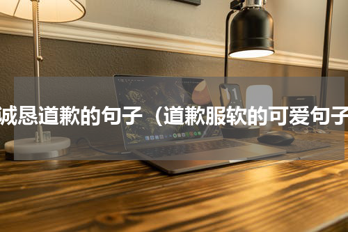 最诚恳道歉的句子（道歉服软的可爱句子）