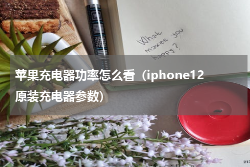 苹果充电器功率怎么看（iphone12原装充电器参数）