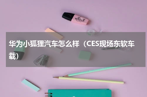 华为小狐狸汽车怎么样（CES现场东软车载）