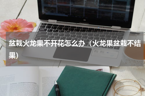 盆栽火龙果不开花怎么办（火龙果盆栽不结果）
