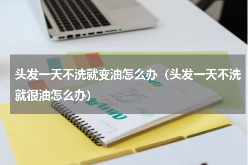 头发一天不洗就变油怎么办（头发一天不洗就很油怎么办）