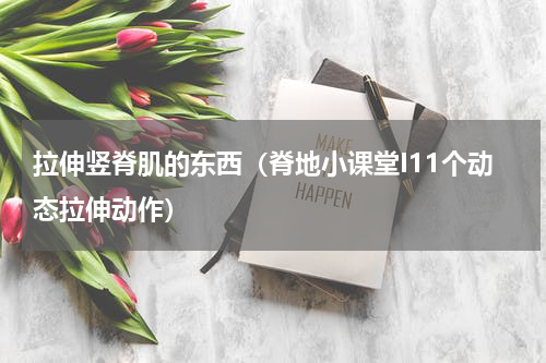 拉伸竖脊肌的东西（脊地小课堂I11个动态拉伸动作）