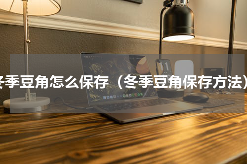 冬季豆角怎么保存（冬季豆角保存方法）