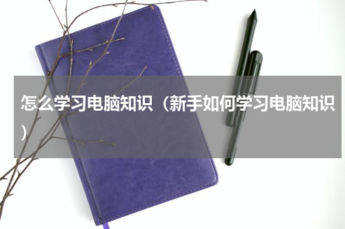怎么学习电脑知识（新手如何学习电脑知识）