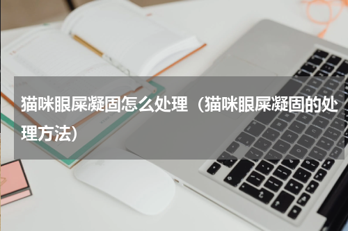 猫咪眼屎凝固怎么处理（猫咪眼屎凝固的处理方法）