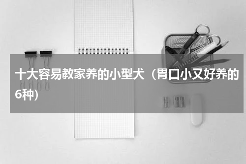十大容易教家养的小型犬（胃口小又好养的6种）