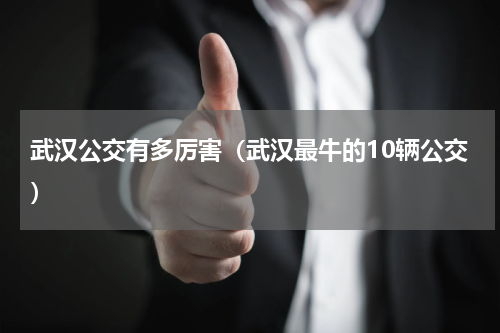 武汉公交有多厉害（武汉最牛的10辆公交）