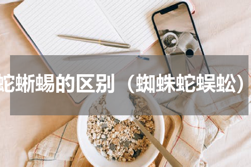 蛇蜥蜴的区别（蜘蛛蛇蜈蚣）