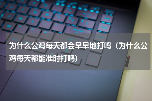为什么公鸡每天都会早早地打鸣（为什么公鸡每天都能准时打鸣）