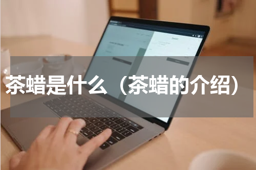 茶蜡是什么（茶蜡的介绍）