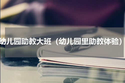 幼儿园助教大班（幼儿园里助教体验）
