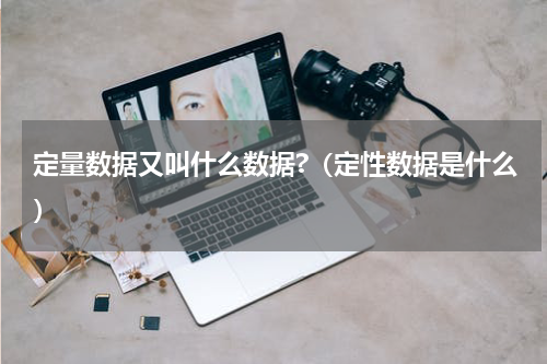 定量数据又叫什么数据?（定性数据是什么）