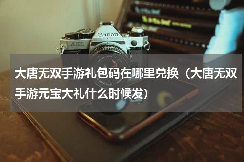 大唐无双手游礼包码在哪里兑换（大唐无双手游元宝大礼什么时候发）