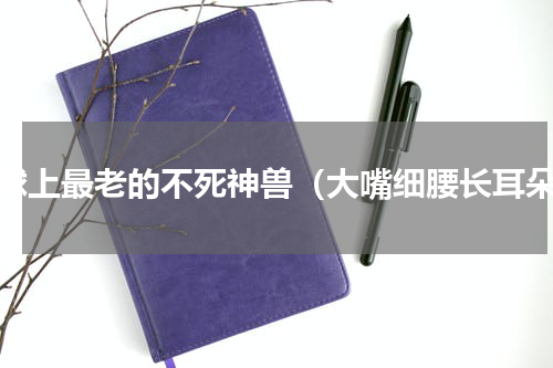地球上最老的不死神兽（大嘴细腰长耳朵）