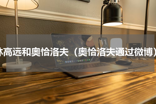 林高远和奥恰洛夫（奥恰洛夫通过微博）