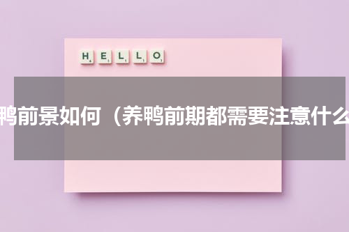 养鸭前景如何（养鸭前期都需要注意什么）