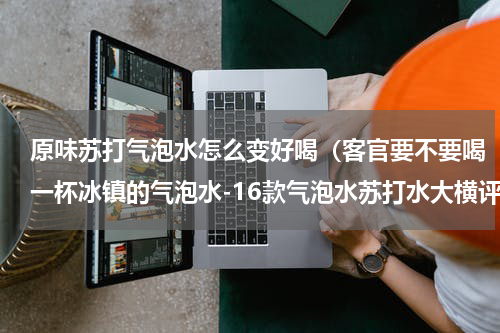 原味苏打气泡水怎么变好喝（客官要不要喝一杯冰镇的气泡水-16款气泡水苏打水大横评）