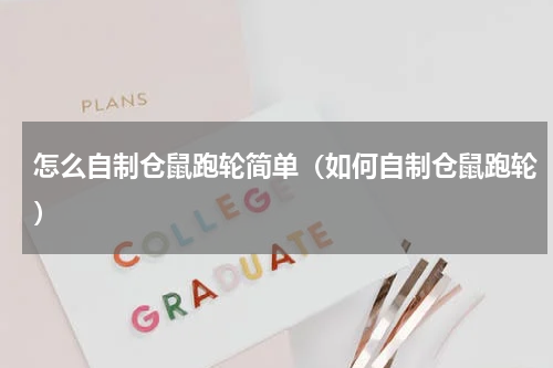 怎么自制仓鼠跑轮简单（如何自制仓鼠跑轮）